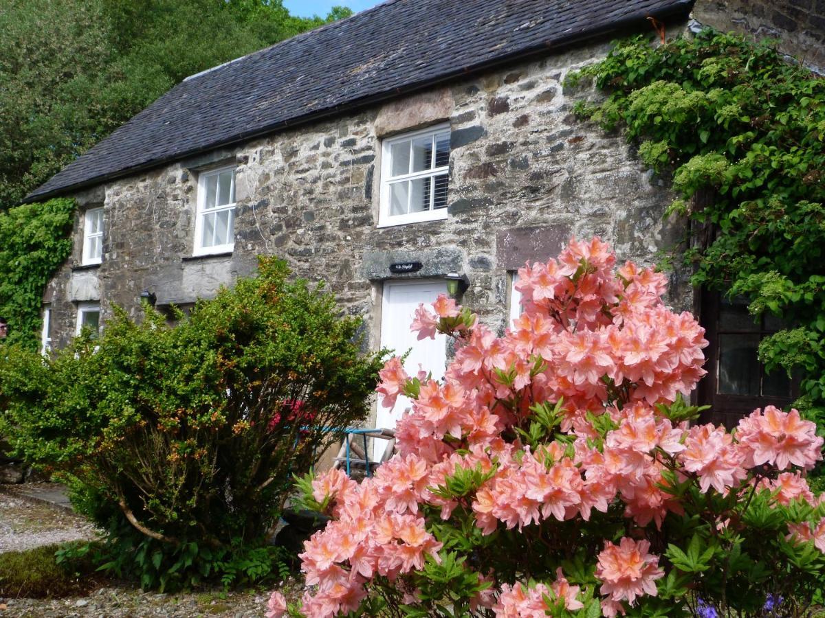The Steading At Barmore Bed & Breakfast Stonefield