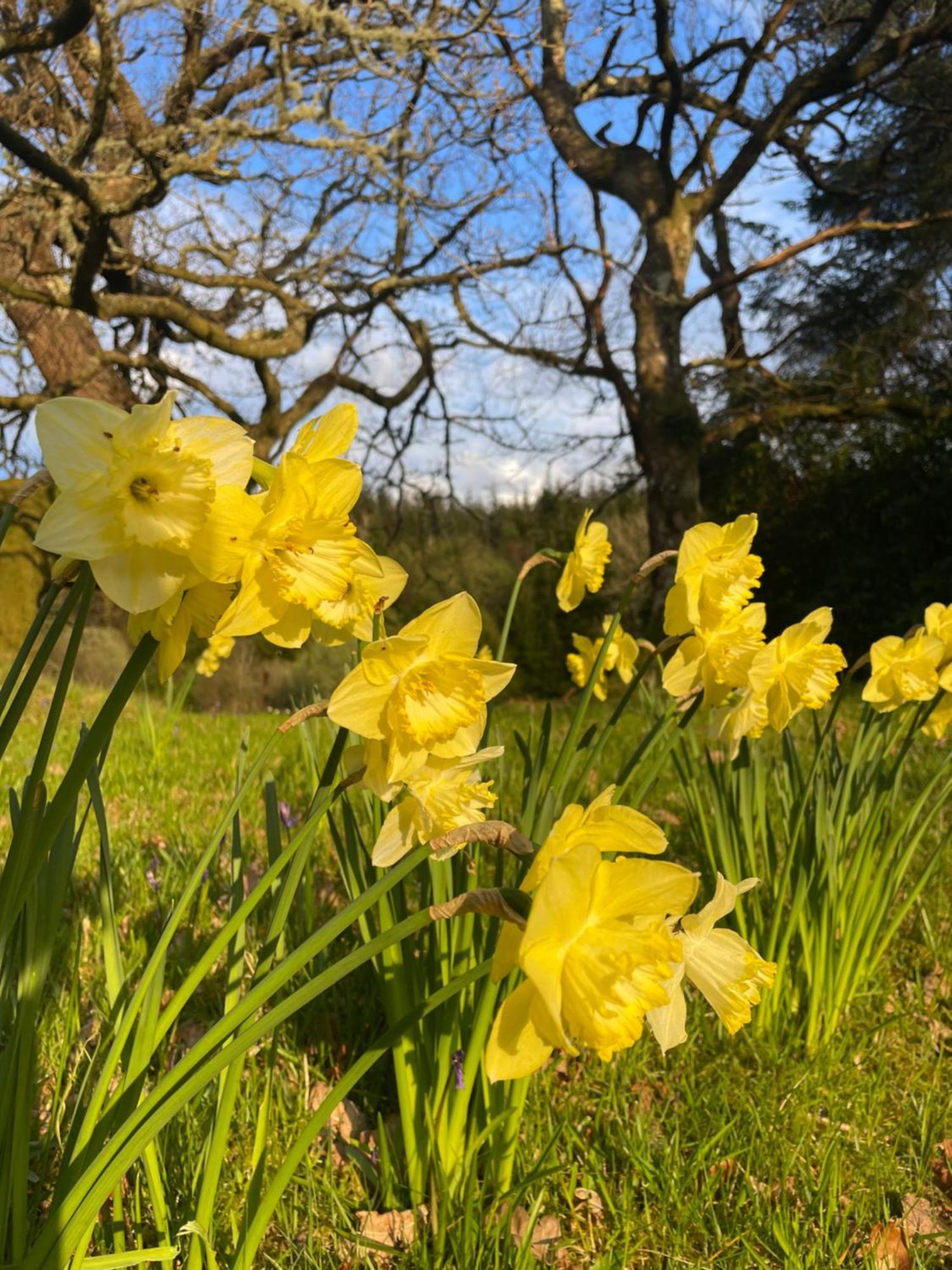 The Steading At Barmore Bed & Breakfast