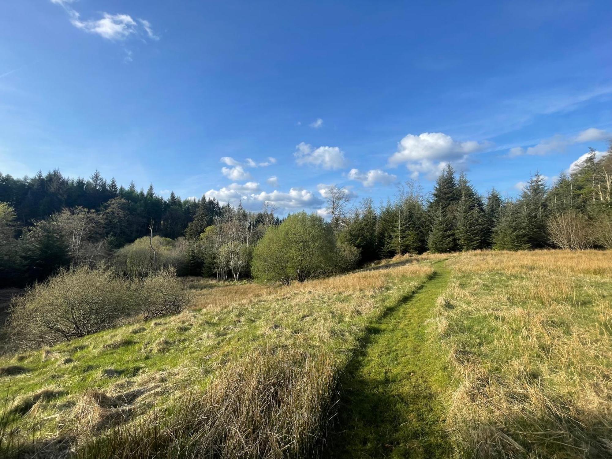 The Steading At Barmore * Stonefield