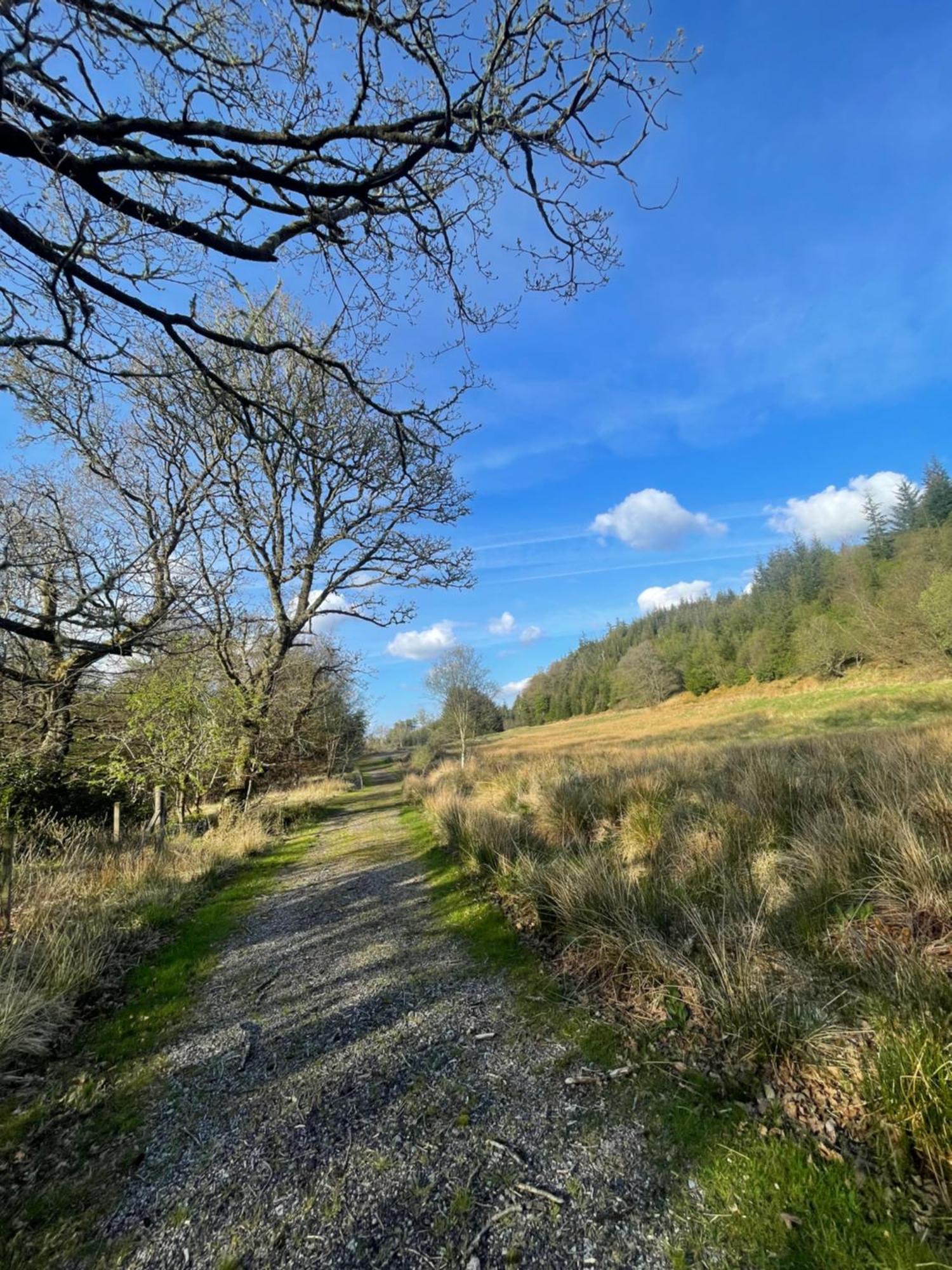 The Steading At Barmore *